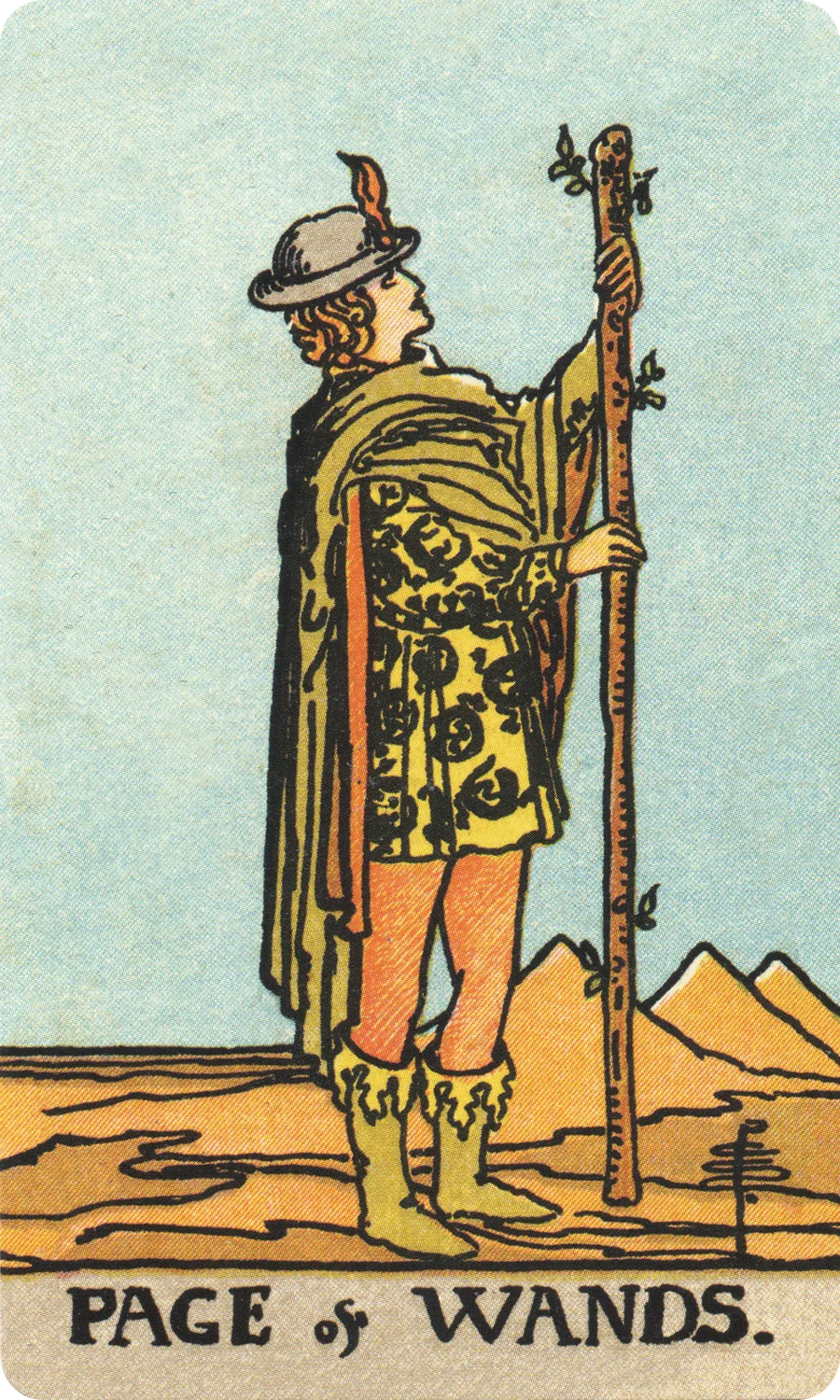 权杖侍从 Page of Wands
